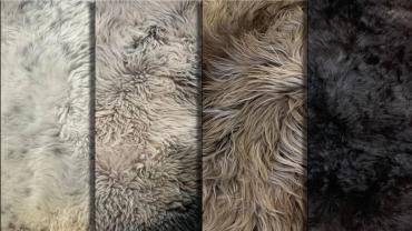 Sheepskins - POLISH SHEEPSKIN! Made from start to finish in our tannery!