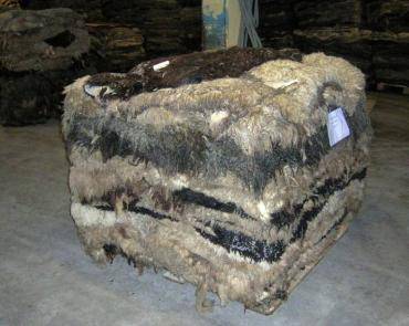 Sheepskins - Purchase of raw hides - raw sheepskins