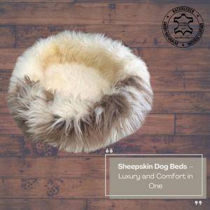 Sheepskins - Sheepskin Dog Beds – Luxury and Comfort in One