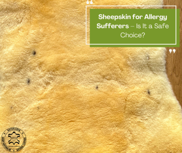 Sheepskins - Sheepskin for Allergy Sufferers – Is It a Safe Choice?