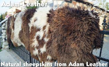 Sheepskins - Dutch sheepskins