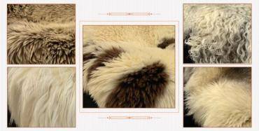 Sheepskins - Natural raw materials with many uses and valuable properties!