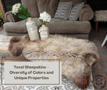 Sheepskins - Texel Sheepskins – Diversity of Colors and Unique Properties