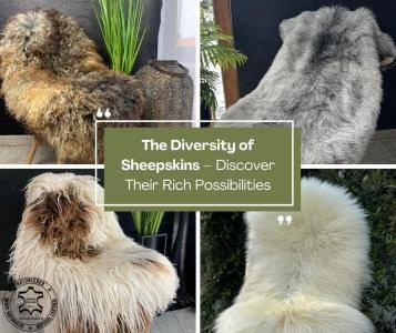 Sheepskins - The Diversity of Sheepskins – Discover Their Rich Possibilities
