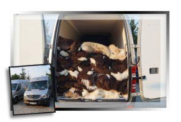 Sheepskins - Producer - not an intermediary. So what makes us different?