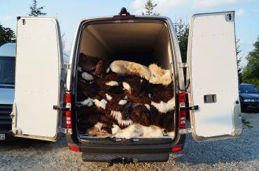 Sheepskins - Professional transport