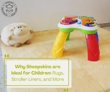 Sheepskins - Why Sheepskins are Ideal for Children: Rugs, Stroller Liners, and More