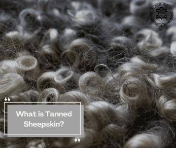 Sheepskins - What is Tanned Sheepskin?