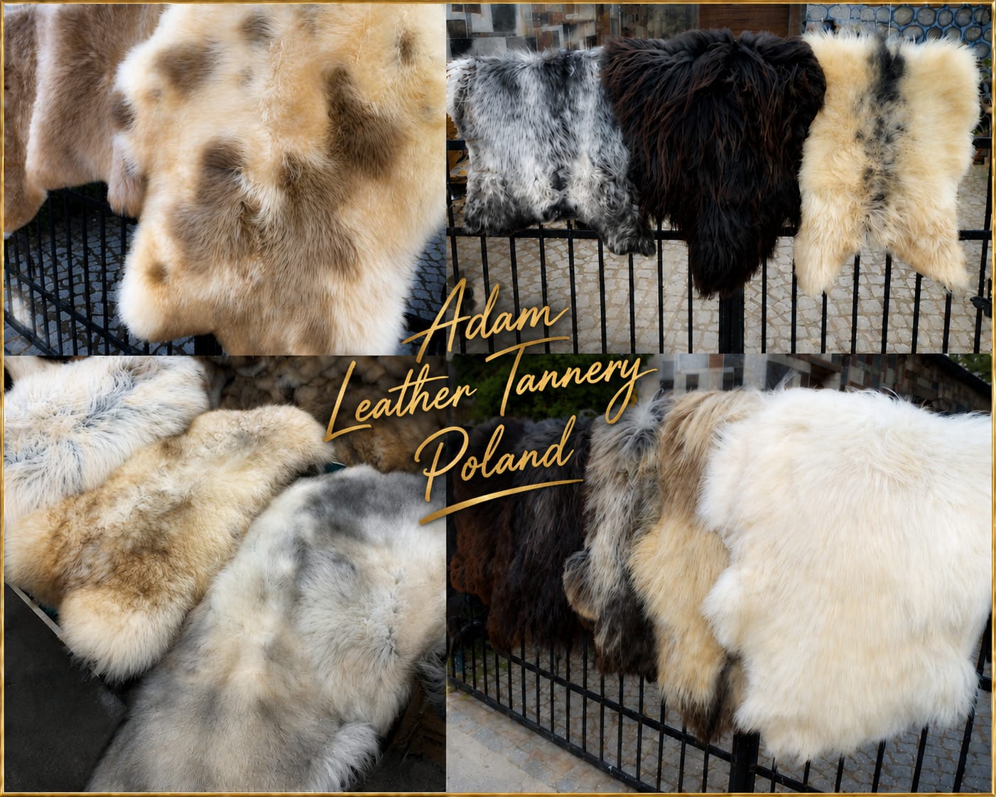 Sheepskins - A collection of natural sheepskins! They draw attention with their unique appearance.