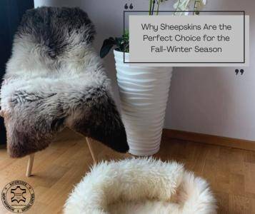 Sheepskins - Why Sheepskins Are the Perfect Choice for the Fall-Winter Season