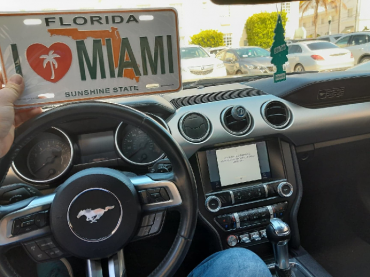 Sheepskins -  Business trip to Miami- free time!