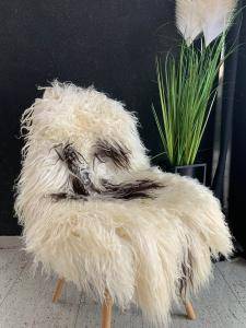 Icelandic sheepskin (12)