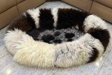 Pets bed 100 cm! (pattern 24)