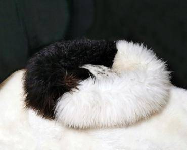 Pet bed (pattern 4)