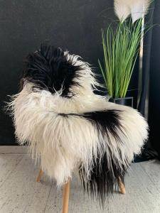  Icelandic sheepskin (11)