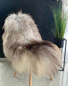 Icelandic sheepskin (3)