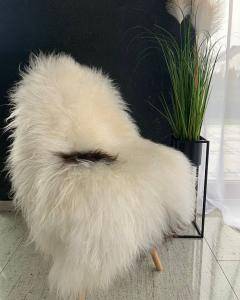 Icelandic sheepskin (8) 