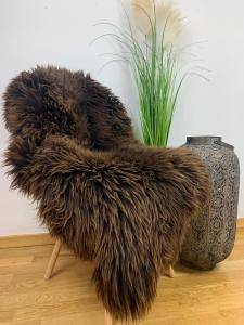Dutch Sheepskin (2)