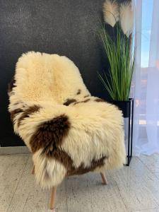 Dutch sheepskin (6)