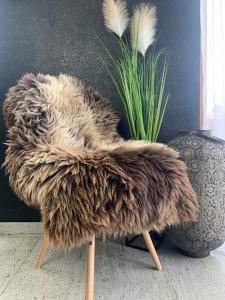 Dutch sheepskin (8)