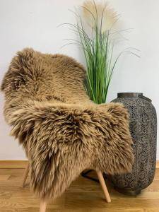 Dutch sheepskin (3)