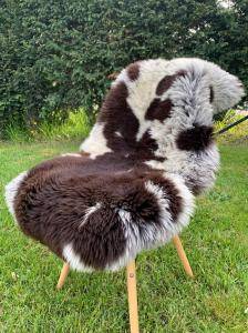 Dutch sheepskin (10)