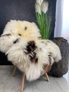 Dutch sheepskin (5)