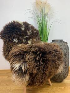 Dutch sheepskin (9)