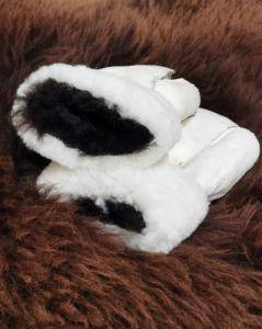 Gloves (2)
