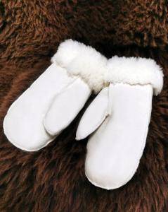 Gloves (1)