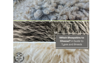 Which Sheepskins to Choose? A Guide to Types and Breeds