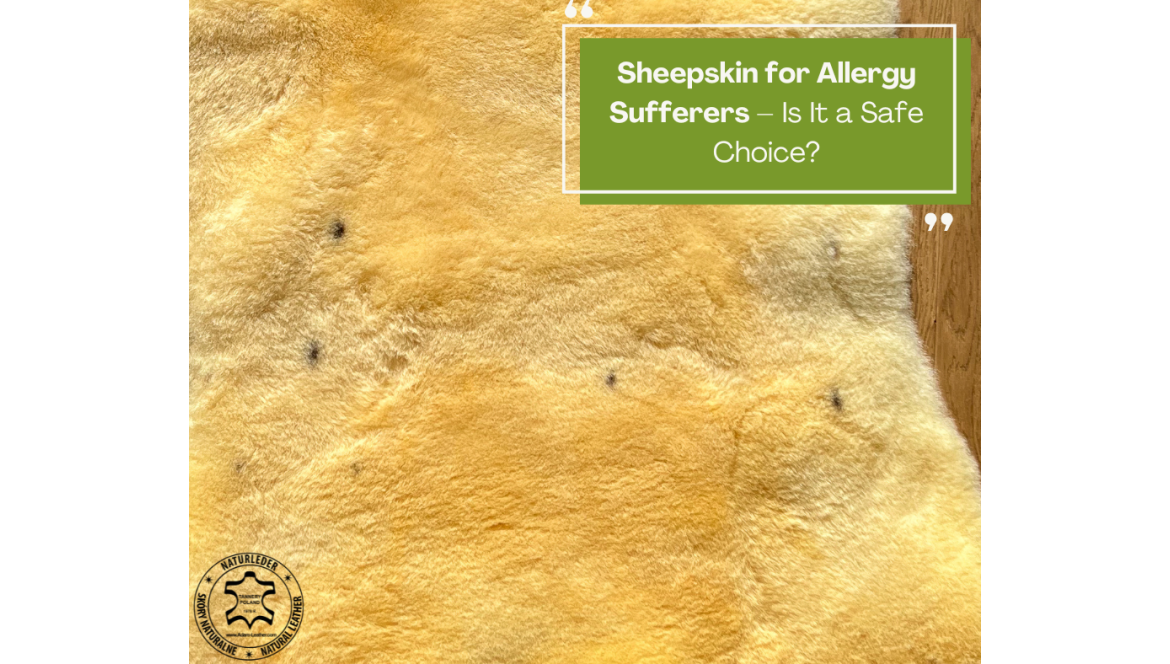 Sheepskin for Allergy Sufferers – Is It a Safe Choice?