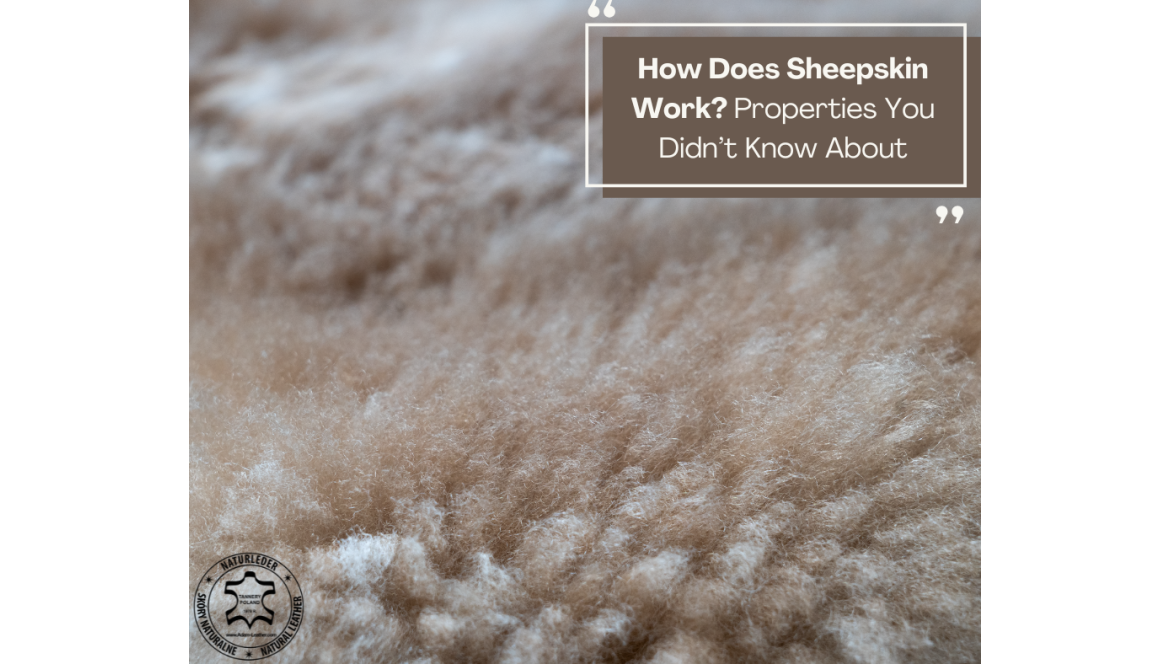How Does Sheepskin Work? Properties You Didn’t Know About