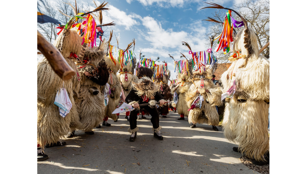 Long-haired sheepskins for costumes - "Kurentovanje" festival